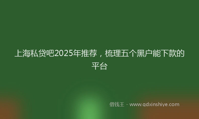 上海私贷吧2025年推荐,梳理五个黑户能下款的平台