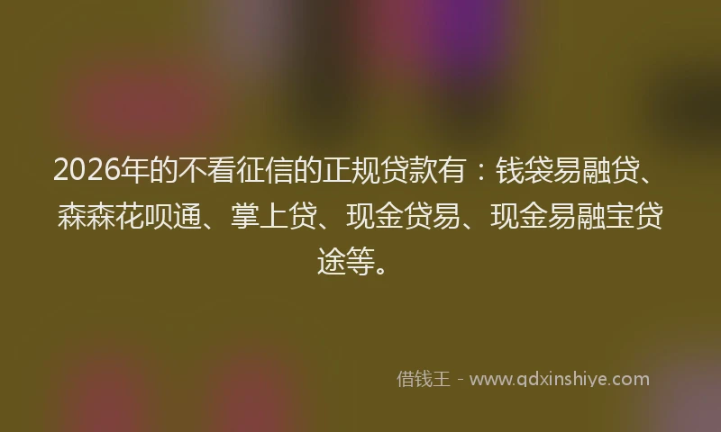 2026年的不看征信的正规贷款有：钱袋易融贷、森森花呗通、掌上贷、现金贷易、现金易融宝贷途等。