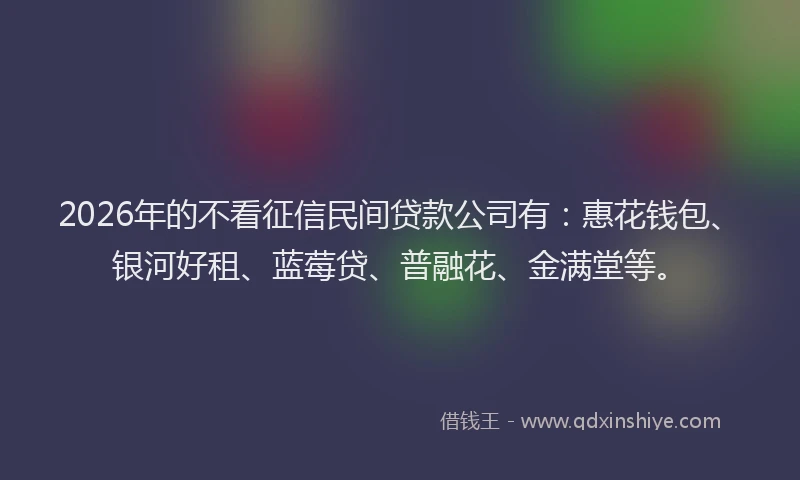 2026年的不看征信民间贷款公司有：惠花钱包、银河好租、蓝莓贷、普融花、金满堂等。