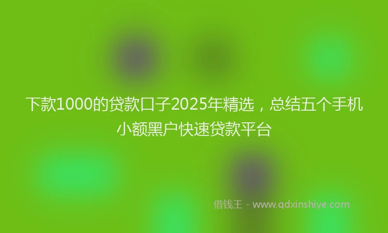 下款1000的贷款口子2025年精选，总结五个手机小额黑户快速贷款平台