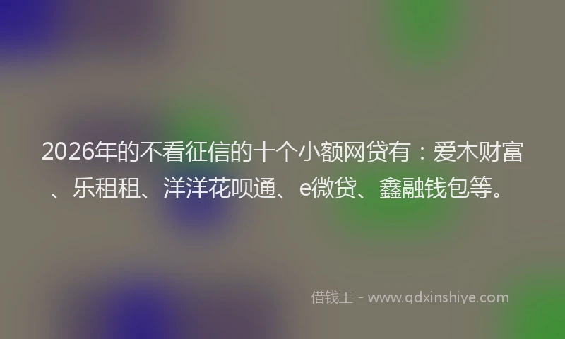 2026年的不看征信的十个小额网贷有：爱木财富、乐租租、洋洋花呗通、e微贷、鑫融钱包等。