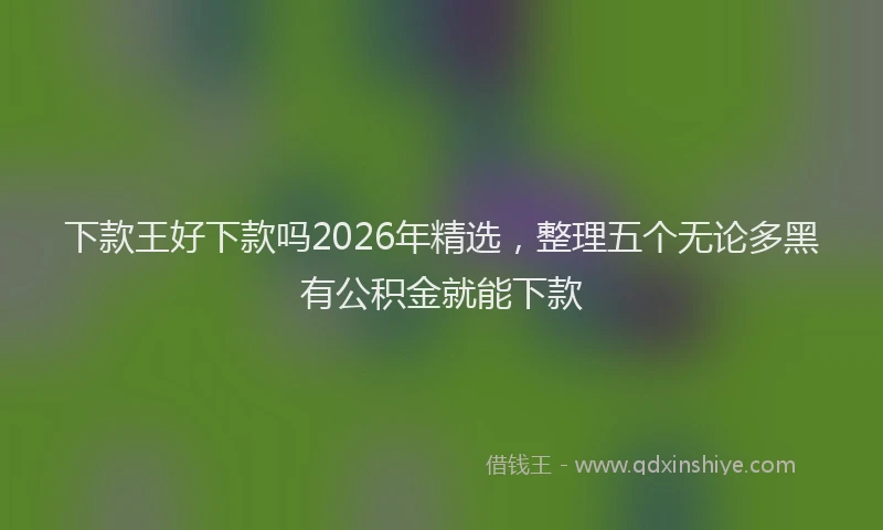 下款王好下款吗2026年精选，整理五个无论多黑有公积金就能下款