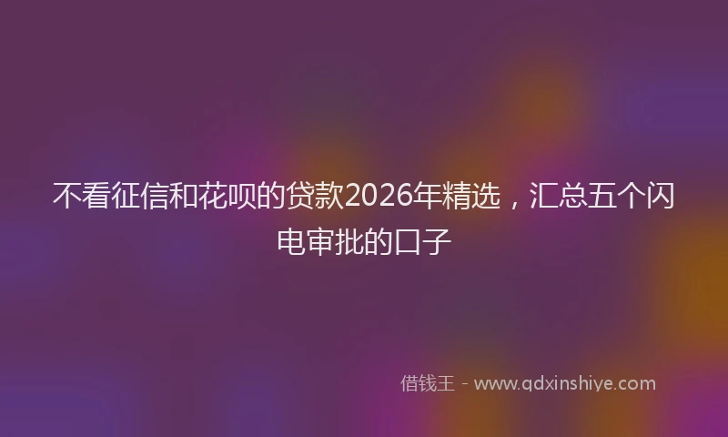 不看征信和花呗的贷款2026年精选,汇总五个闪电审批的口子