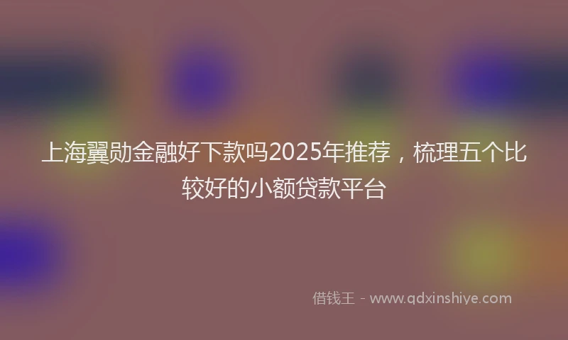 上海翼勋金融好下款吗2025年推荐，梳理五个比较好的小额贷款平台