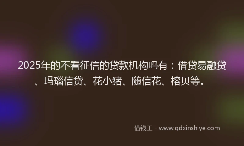 2025年的不看征信的贷款机构吗有：借贷易融贷、玛瑙信贷、花小猪、随信花、榕贝等。
