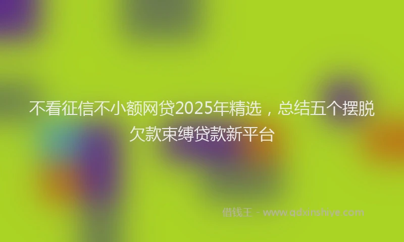 不看征信不小额网贷2025年精选，总结五个摆脱欠款束缚贷款新平台