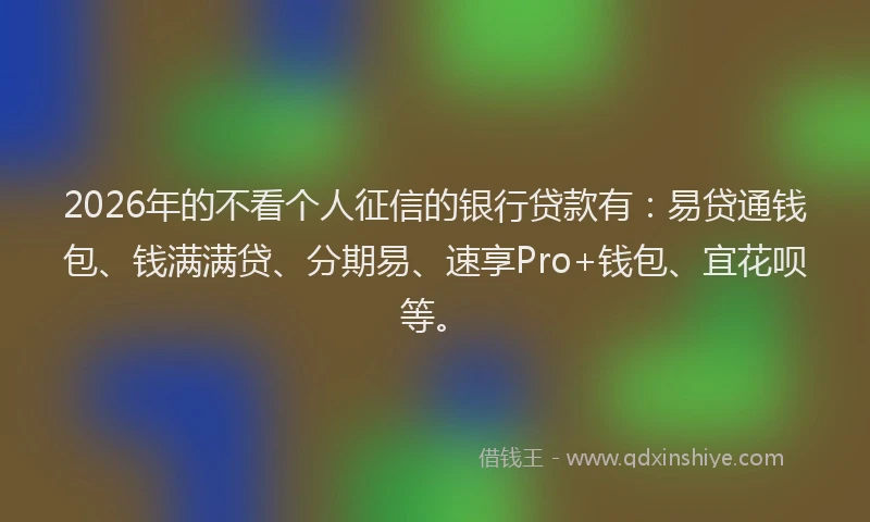 2026年的不看个人征信的银行贷款有:易贷通钱包、钱满满贷、分期易、速享Pro+钱包、宜花呗等。
