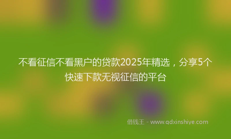 不看征信不看黑户的贷款2025年精选,分享5个快速下款无视征信的平台