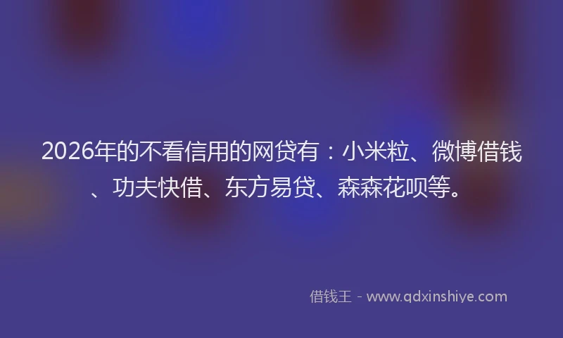 2026年的不看信用的网贷有：小米粒、微博借钱、功夫快借、东方易贷、森森花呗等。