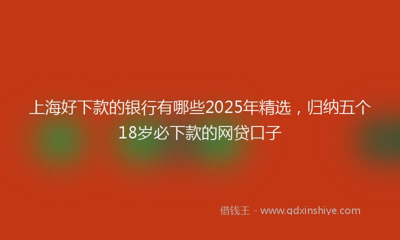 上海好下款的银行有哪些2025年精选，归纳五个18岁必下款的网贷口子