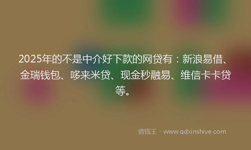 2025年的不是中介好下款的网贷有：新浪易借、金瑞钱包、哆来米贷、现金秒融易、维信卡卡贷等。