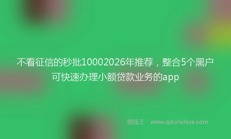 不看征信的秒批10002026年推荐，整合5个黑户可快速办理小额贷款业务的app