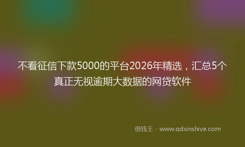 不看征信下款5000的平台2026年精选，汇总5个真正无视逾期大数据的网贷软件