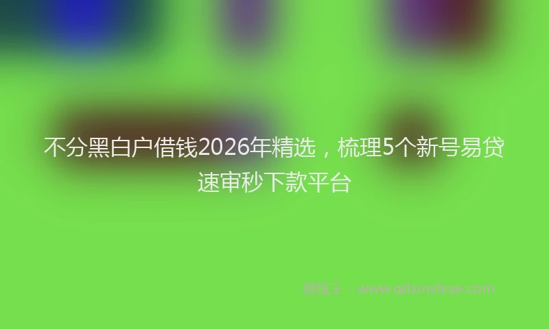 不分黑白户借钱2026年精选，梳理5个新号易贷速审秒下款平台