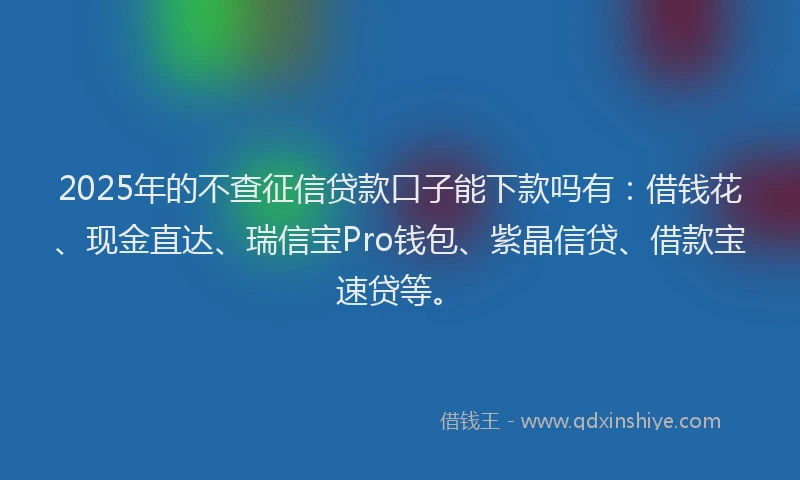 2025年的不查征信贷款口子能下款吗有：借钱花、现金直达、瑞信宝Pro钱包、紫晶信贷、借款宝速贷等。