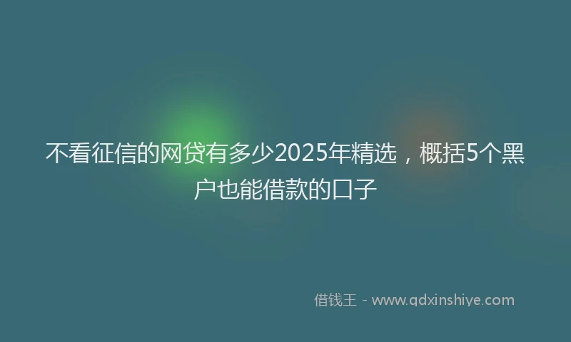 不看征信的网贷有多少2025年精选，概括5个黑户也能借款的口子