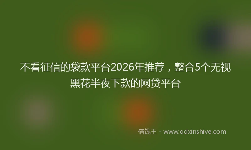 不看征信的袋款平台2026年推荐，整合5个无视黑花半夜下款的网贷平台