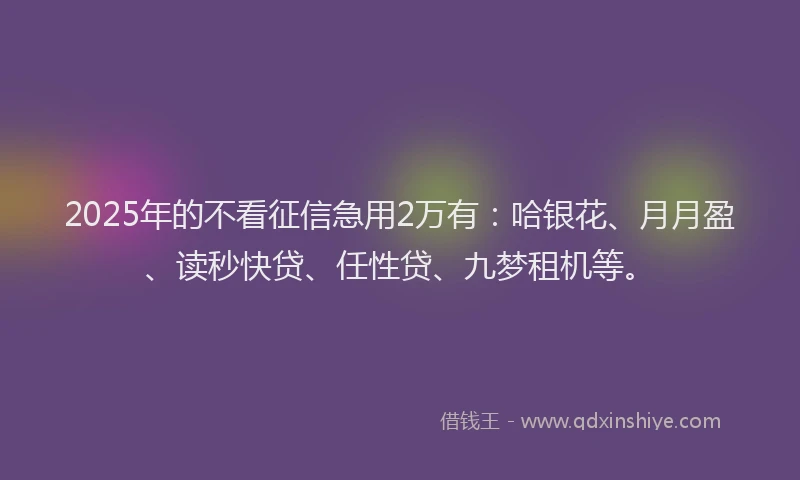 2025年的不看征信急用2万有：哈银花、月月盈、读秒快贷、任性贷、九梦租机等。
