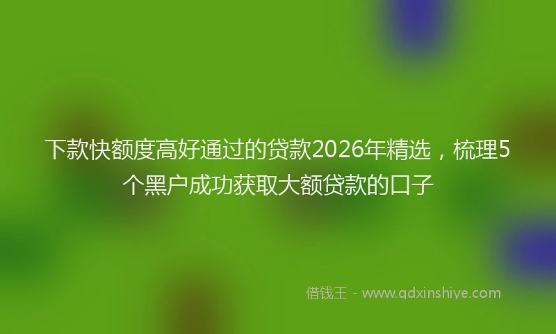 下款快额度高好通过的贷款2026年精选,梳理5个黑户成功获取大额贷款的口子