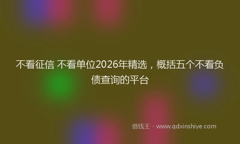 不看征信 不看单位2026年精选，概括五个不看负债查询的平台