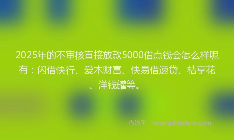 2025年的不审核直接放款5000借点钱会怎么样呢有：闪借快行、爱木财富、快易借速贷、桔享花、洋钱罐等。