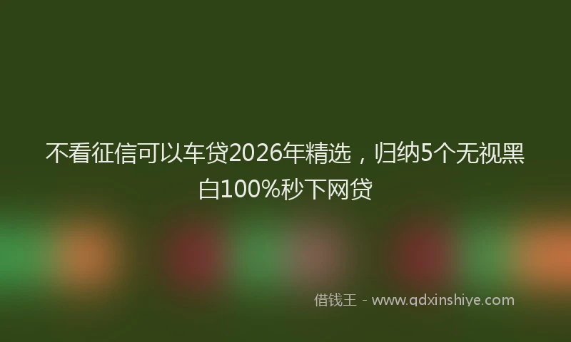 不看征信可以车贷2026年精选，归纳5个无视黑白100%秒下网贷