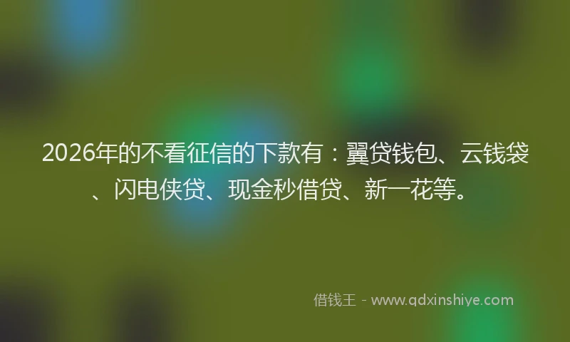 2026年的不看征信的下款有：翼贷钱包、云钱袋、闪电侠贷、现金秒借贷、新一花等。