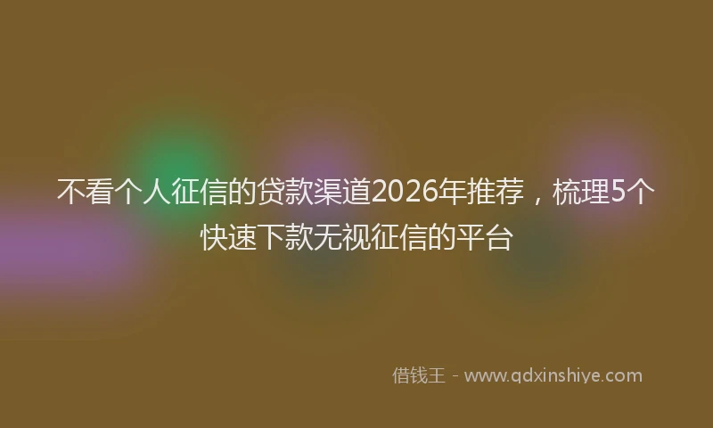 不看个人征信的贷款渠道2026年推荐，梳理5个快速下款无视征信的平台