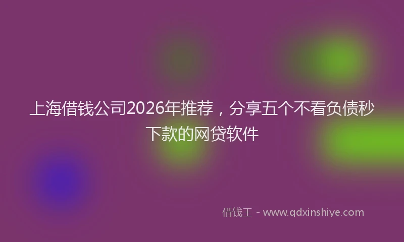 上海借钱公司2026年推荐，分享五个不看负债秒下款的网贷软件