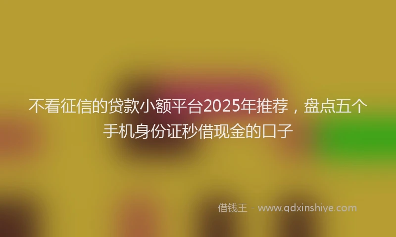 不看征信的贷款小额平台2025年推荐，盘点五个手机身份证秒借现金的口子