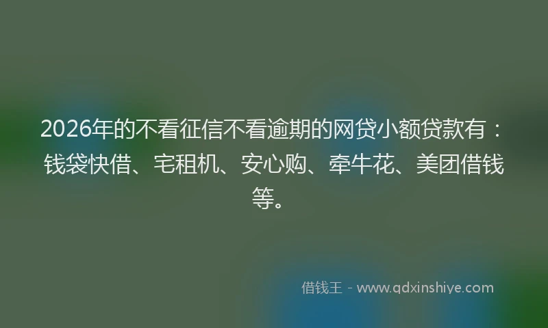 2026年的不看征信不看逾期的网贷小额贷款有：钱袋快借、宅租机、安心购、牵牛花、美团借钱等。