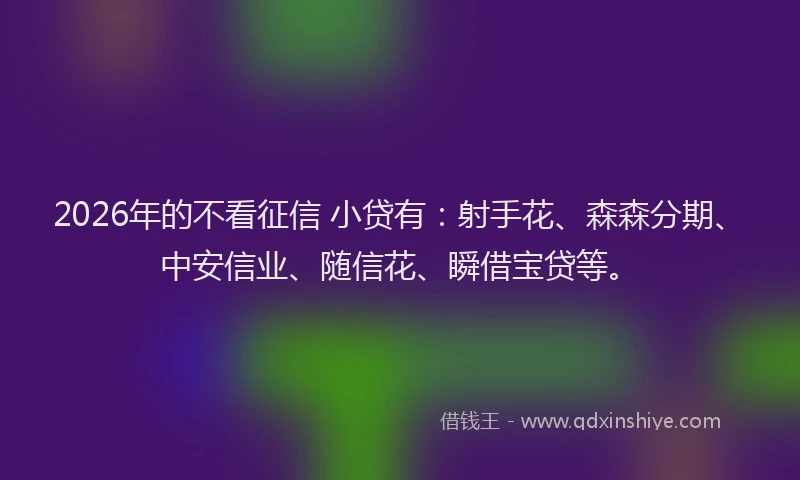 2026年的不看征信 小贷有：射手花、森森分期、中安信业、随信花、瞬借宝贷等。