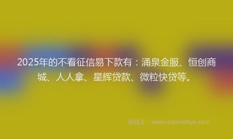 2025年的不看征信易下款有:涌泉金服、恒创商城、人人拿、星辉贷款、微粒快贷等。