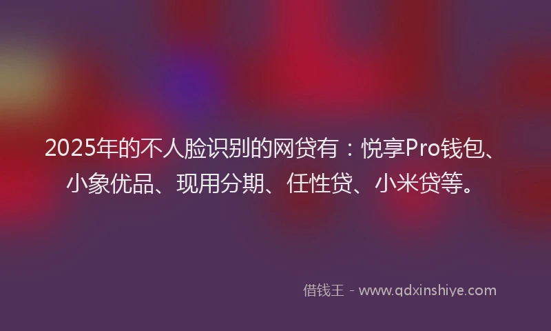 2025年的不人脸识别的网贷有：悦享Pro钱包、小象优品、现用分期、任性贷、小米贷等。