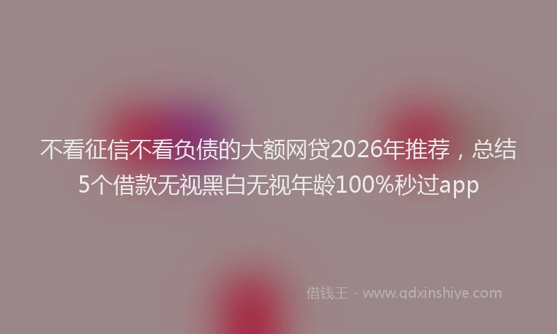 不看征信不看负债的大额网贷2026年推荐，总结5个借款无视黑白无视年龄100%秒过app