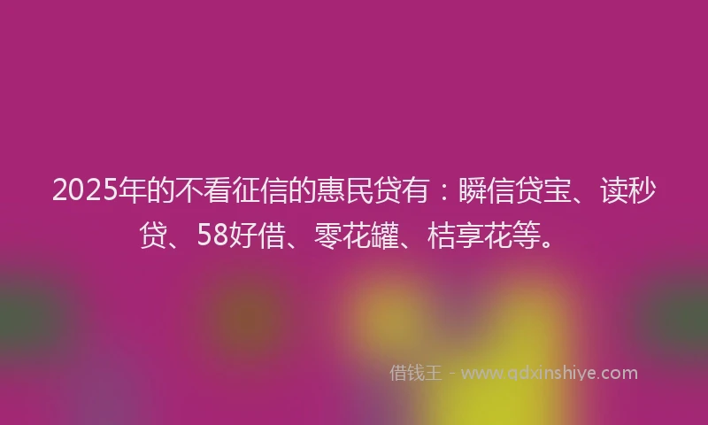 2025年的不看征信的惠民贷有：瞬信贷宝、读秒贷、58好借、零花罐、桔享花等。