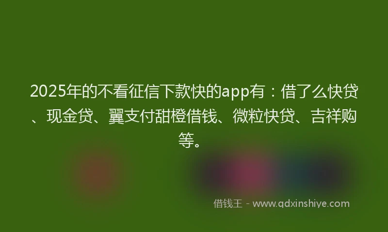 2025年的不看征信下款快的app有：借了么快贷、现金贷、翼支付甜橙借钱、微粒快贷、吉祥购等。