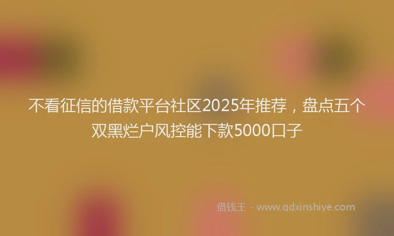 不看征信的借款平台社区2025年推荐，盘点五个双黑烂户风控能下款5000口子