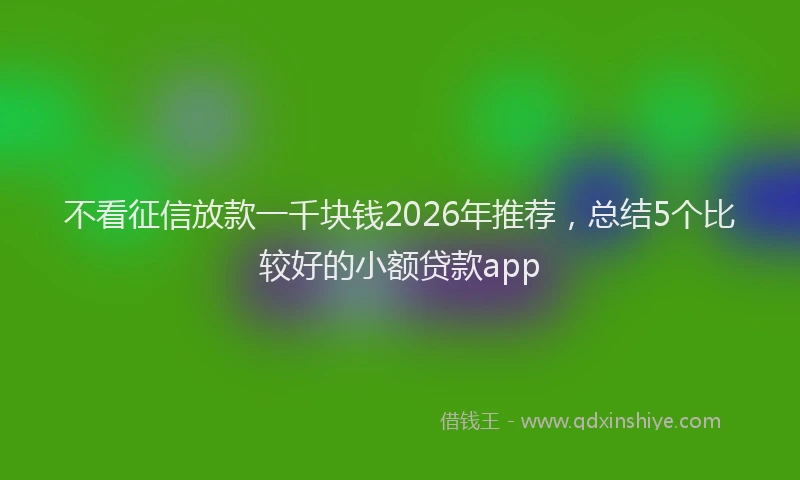 不看征信放款一千块钱2026年推荐，总结5个比较好的小额贷款app