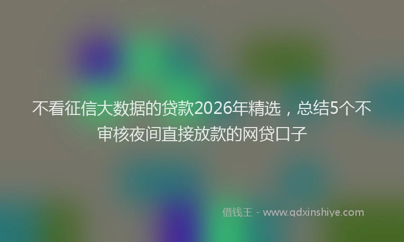 不看征信大数据的贷款2026年精选，总结5个不审核夜间直接放款的网贷口子