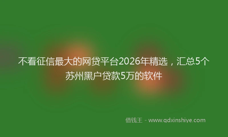 不看征信最大的网贷平台2026年精选，汇总5个苏州黑户贷款5万的软件