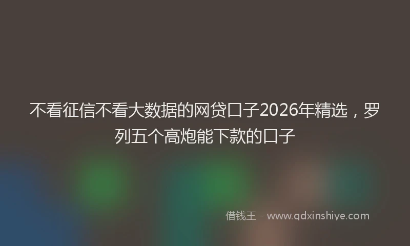 不看征信不看大数据的网贷口子2026年精选，罗列五个高炮能下款的口子