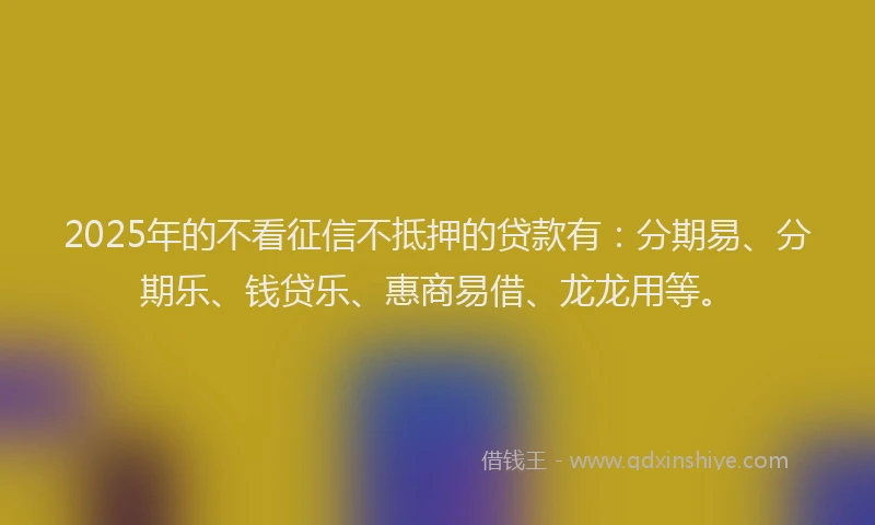 2025年的不看征信不抵押的贷款有:分期易、分期乐、钱贷乐、惠商易借、龙龙用等。