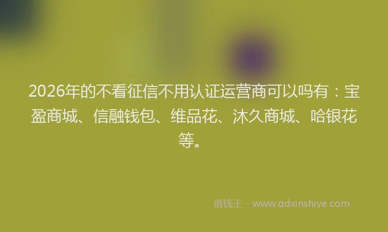 2026年的不看征信不用认证运营商可以吗有：宝盈商城、信融钱包、维品花、沐久商城、哈银花等。