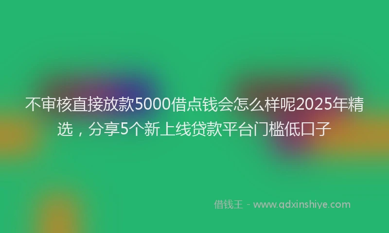 不审核直接放款5000借点钱会怎么样呢2025年精选，分享5个新上线贷款平台门槛低口子