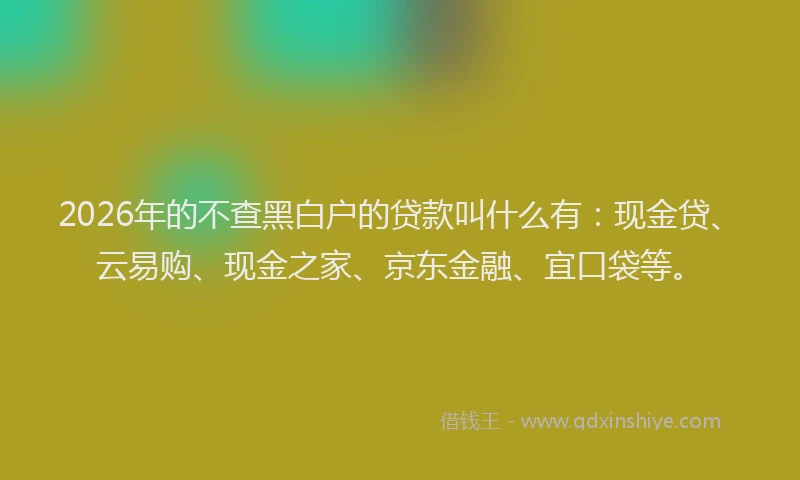 2026年的不查黑白户的贷款叫什么有:现金贷、云易购、现金之家、京东金融、宜口袋等。