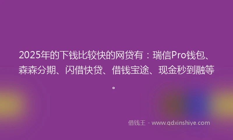 2025年的下钱比较快的网贷有：瑞信Pro钱包、森森分期、闪借快贷、借钱宝途、现金秒到融等。
