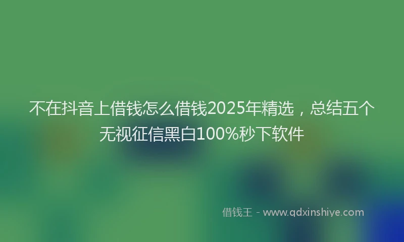 不在抖音上借钱怎么借钱2025年精选，总结五个无视征信黑白100%秒下软件