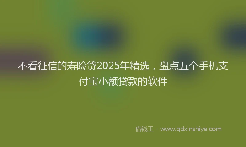 不看征信的寿险贷2025年精选，盘点五个手机支付宝小额贷款的软件
