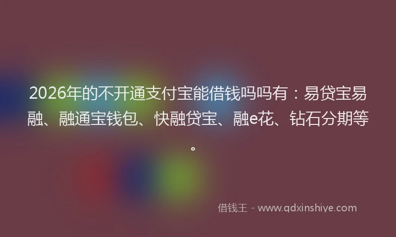 2026年的不开通支付宝能借钱吗吗有：易贷宝易融、融通宝钱包、快融贷宝、融e花、钻石分期等。